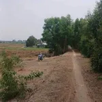 Bán 23 công đất lúa Thạnh Phước Long An - Ảnh thu nhỏ 2