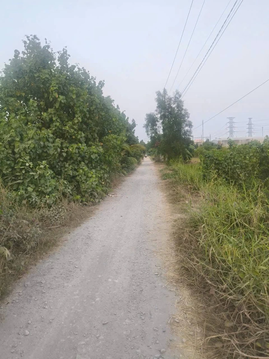 Bán lô đất vườn 3000m² mặt kênh, Bến Lức, Long An - Ảnh thu nhỏ 5