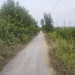 Bán lô đất vườn 3000m² mặt kênh, Bến Lức, Long An - Ảnh thu nhỏ 5