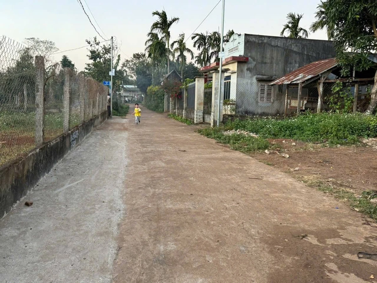 Bán 2 lô đất Phường Tân An, Nhà Bè, 250m² giá 1.85 tỷ - Ảnh thu nhỏ 2