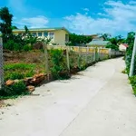 Bán đất 120m² hướng Nam Cần Giờ, gần trường học - Ảnh thu nhỏ 3