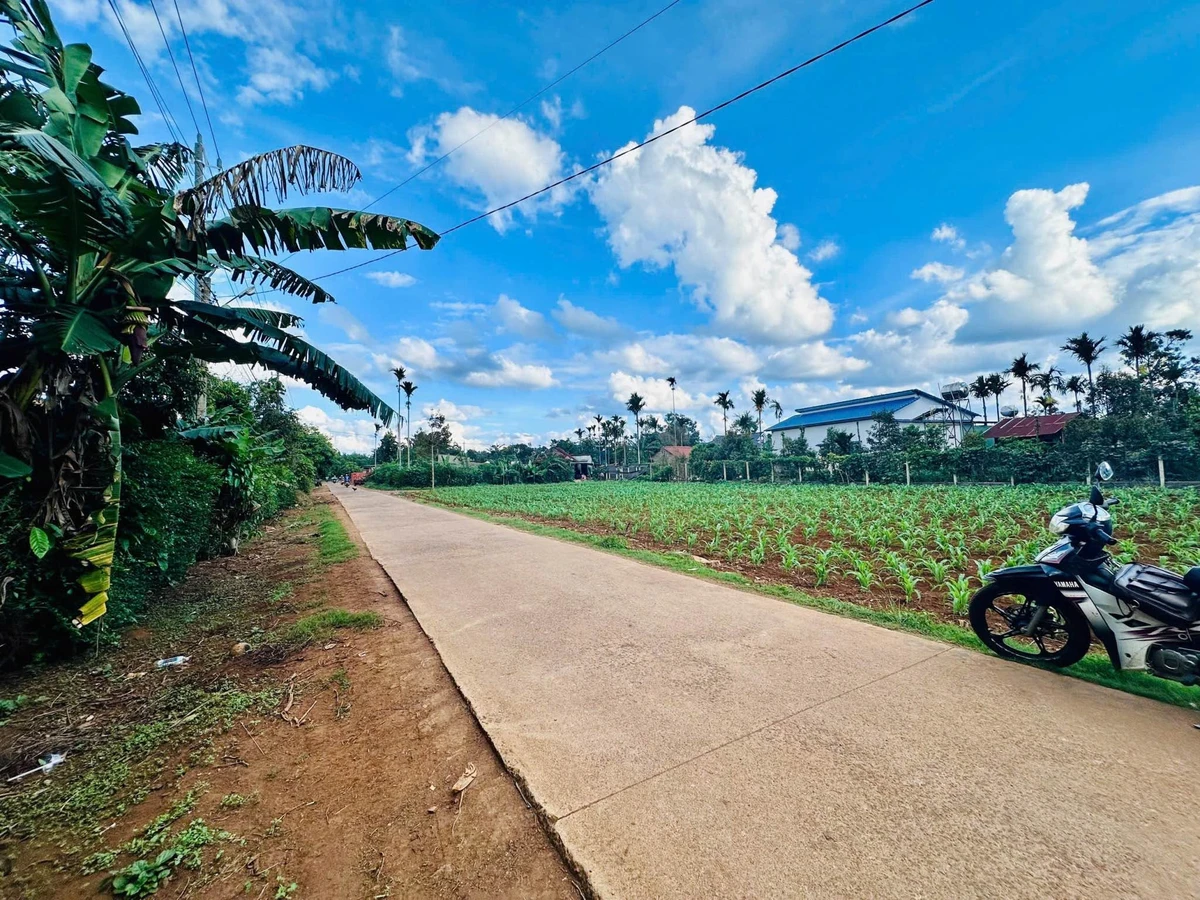 Bán đất 200m² thổ cư 60m² hướng Đông Bình Chánh - Ảnh 1