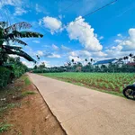 Bán đất 200m² thổ cư 60m² hướng Đông Bình Chánh - Ảnh thu nhỏ 1