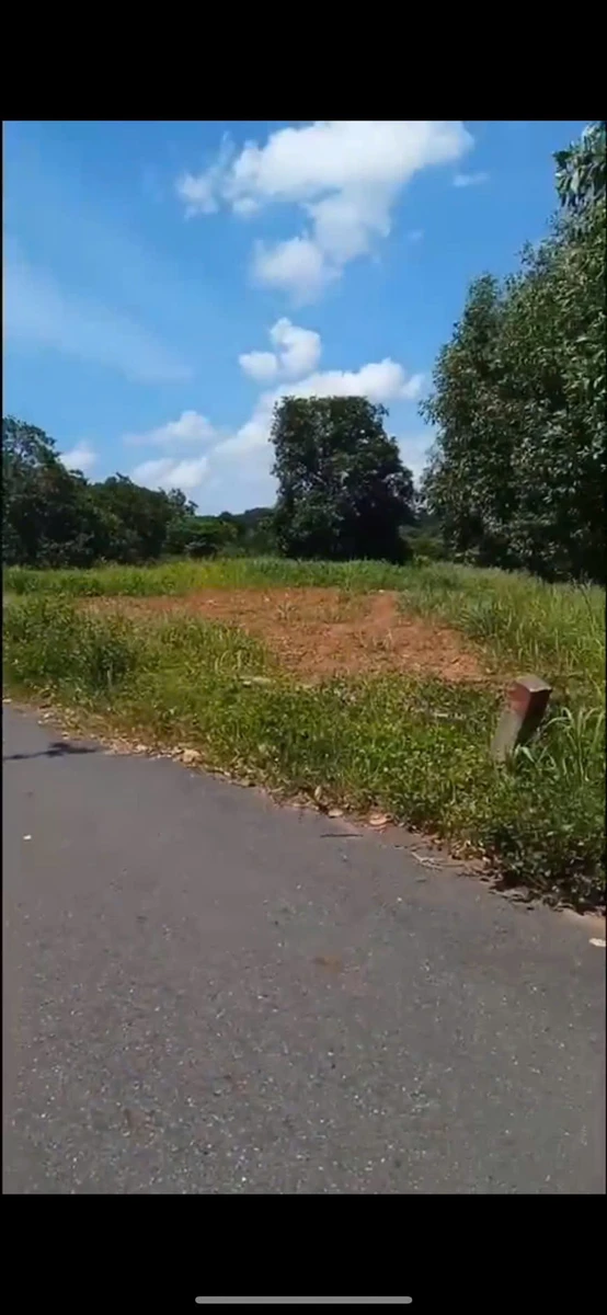 Bán đất mặt tiền Suối Rao 2000 m2, Châu Đức, 1,4 tỷ - Ảnh thu nhỏ 2