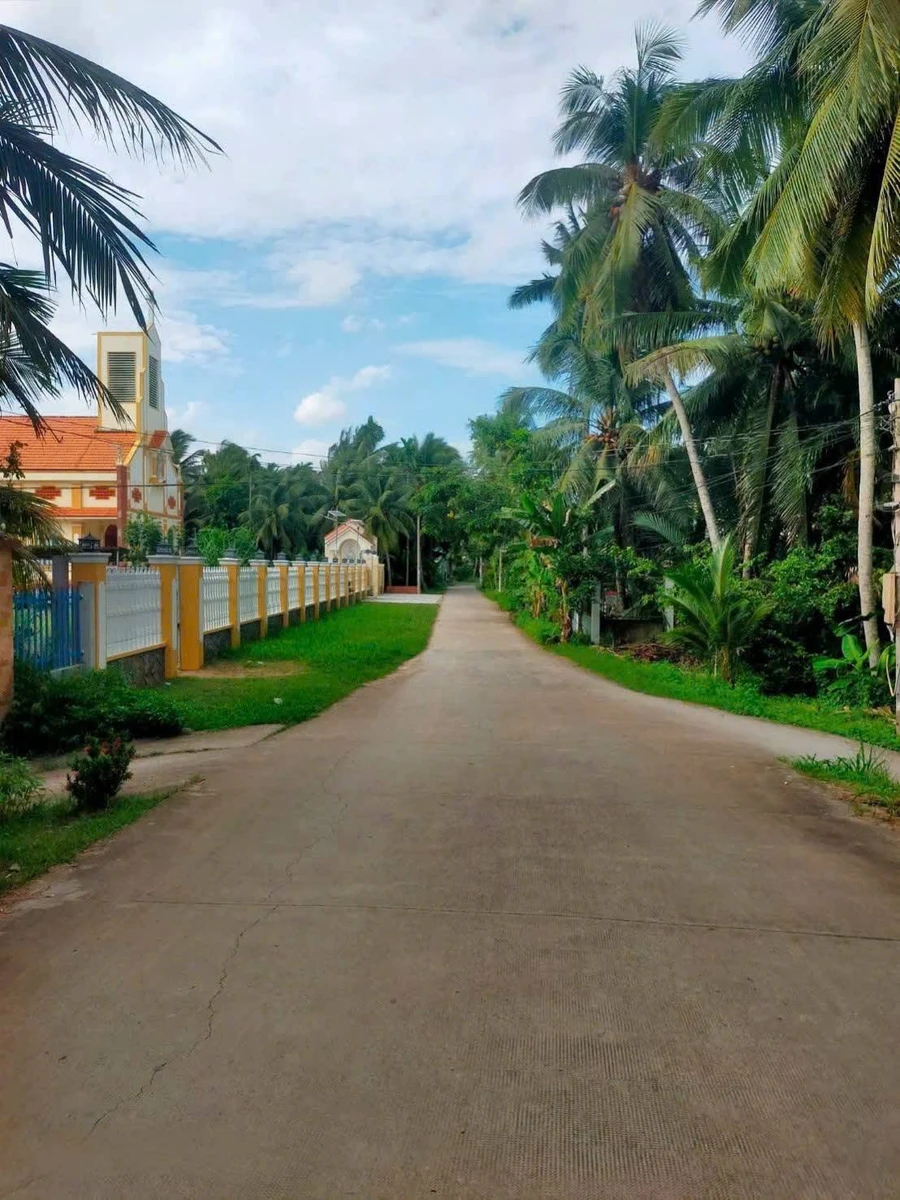 Bán 4.700m² đất vườn dừa tại Vĩnh Long - Ảnh thu nhỏ 3