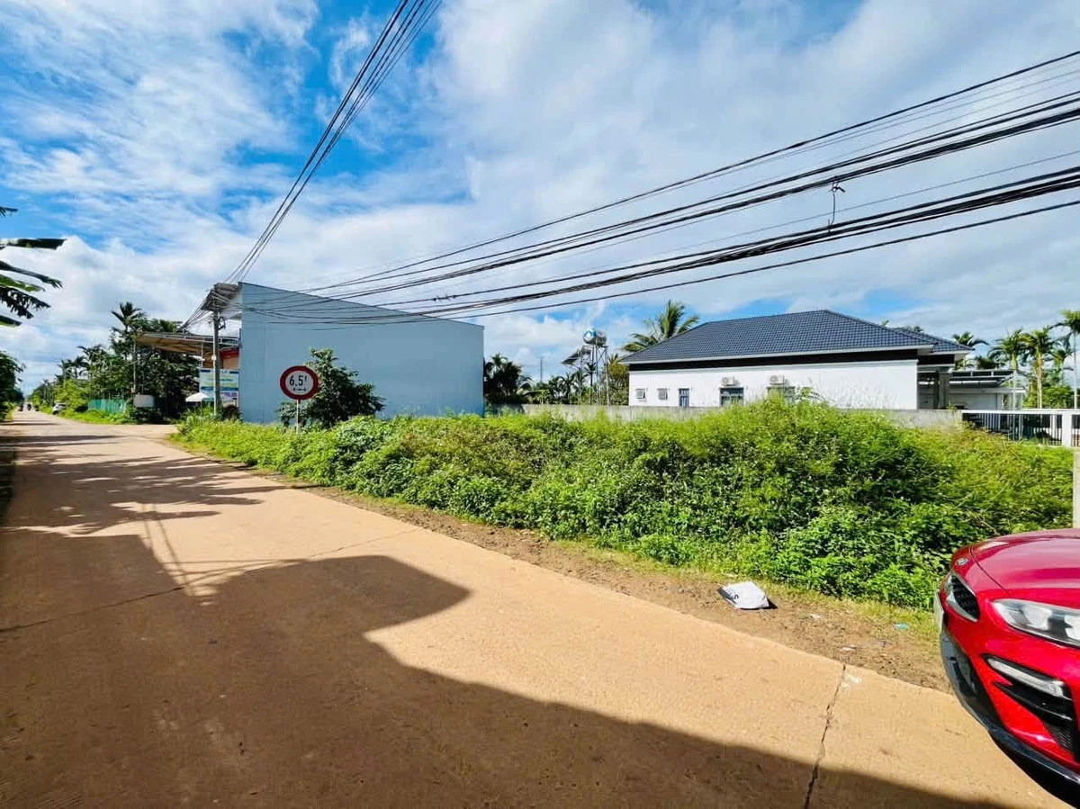 Bán đất mặt tiền Hòa Thuận Đắk Lắk 105m² 1,5 tỷ - Ảnh 1