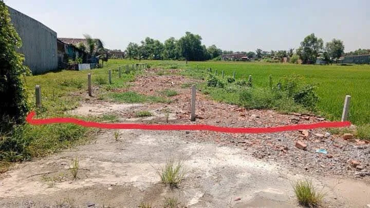Bán đất mặt tiền Bầu Sen, Gò Vấp, 273m² toàn thổ cư - Ảnh thu nhỏ 4