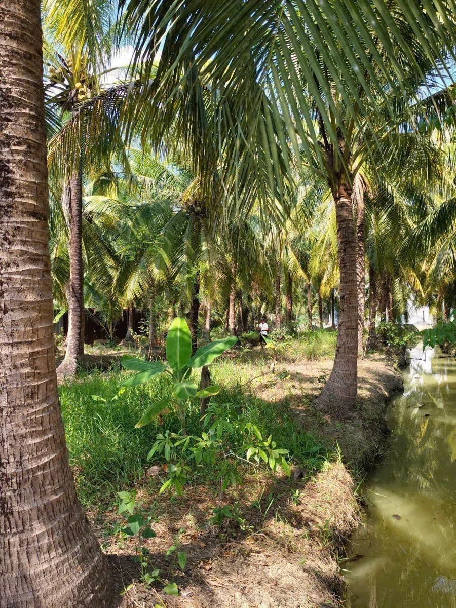 Bán đất 4800m2 Phú Nhuận 2 tỷ 800 triệu - Ảnh thu nhỏ 2