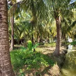 Bán đất 4800m2 Phú Nhuận 2 tỷ 800 triệu - Ảnh thu nhỏ 2