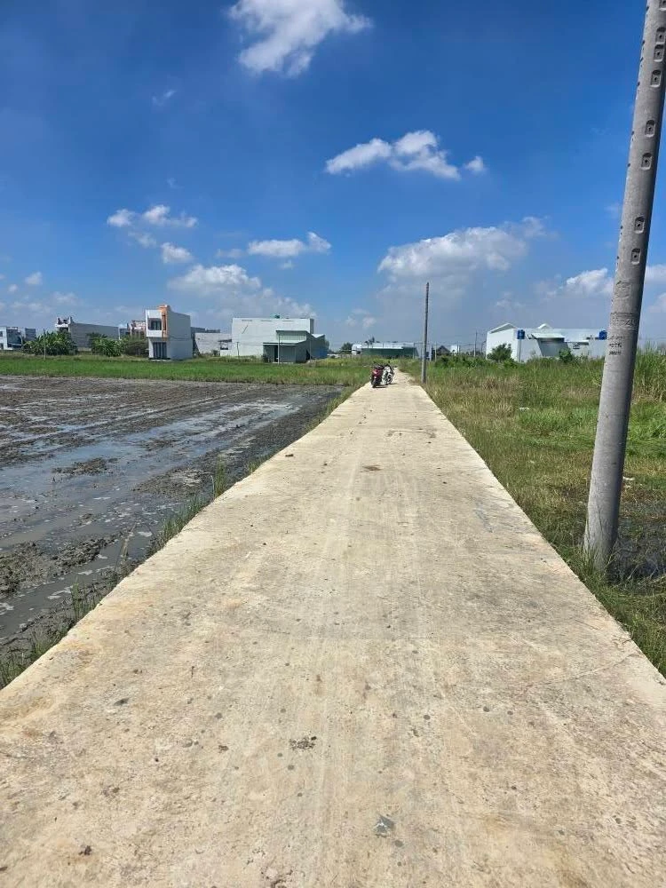 Bán lô đất 115m² Phước Vân, Cần Đước, Long An 770 triệu - Ảnh 1