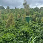 Bán đất 2 hecta tại Đắc Hòa, Đắc Nông 4,7 tỷ - Ảnh thu nhỏ 3