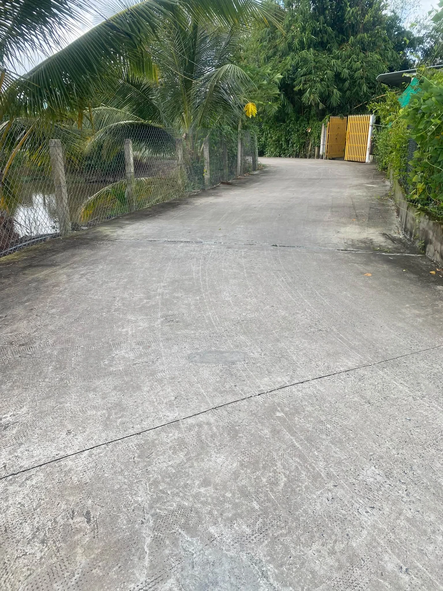 Bán đất lúa 2090 m² Bình Lãng, Tân Trụ, Long An - Ảnh 1