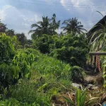 Bán nền 500m2 Tân Phú Thạnh Hậu Giang 770 triệu - Ảnh thu nhỏ 4