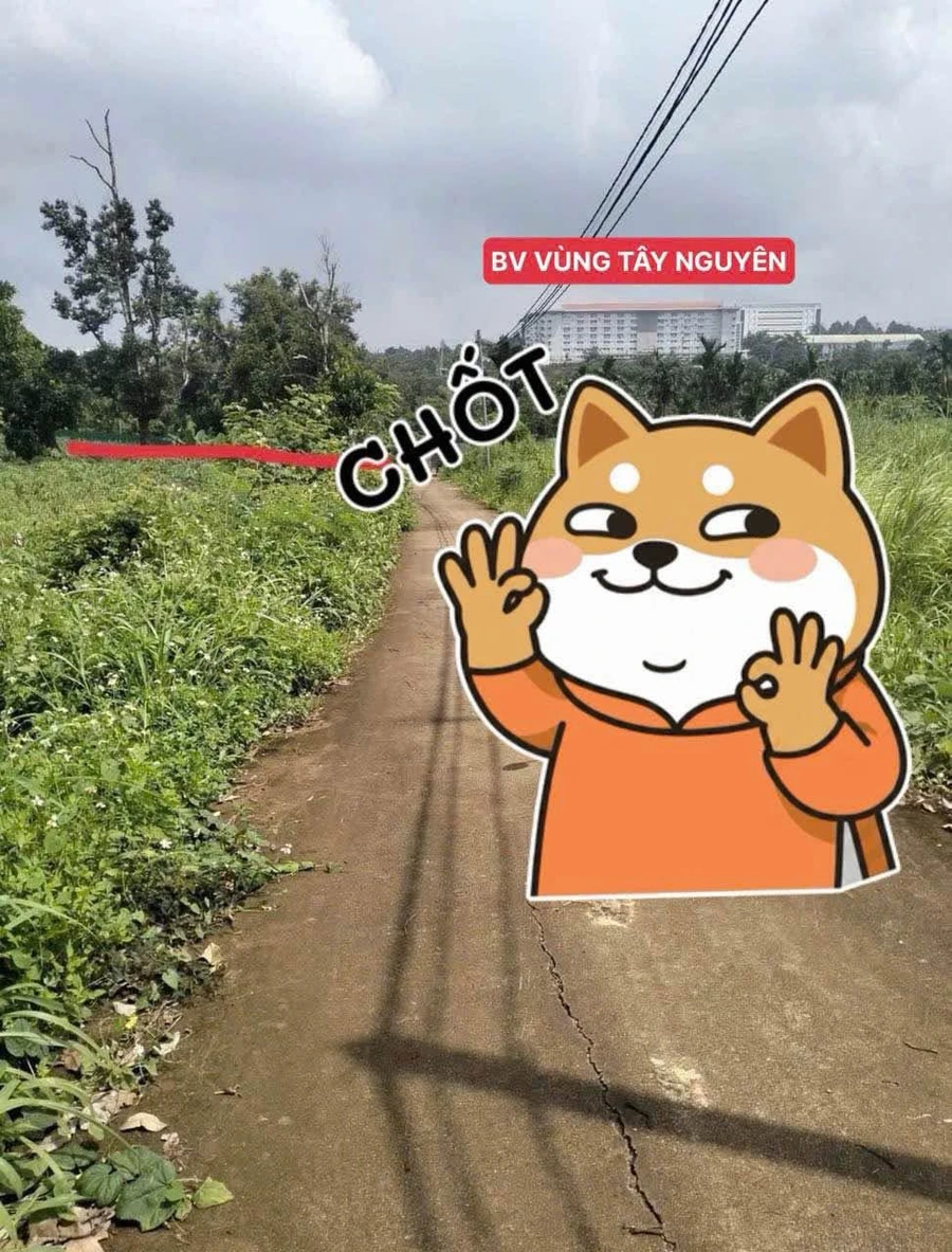 Bán đất 500m2 hẻm Đường 19/5 Phường EaTam Bình Mỹ - Ảnh thu nhỏ 2