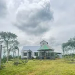 Bán 2 ha đất nông nghiệp đường 19/5, Bình Dương - Ảnh thu nhỏ 1