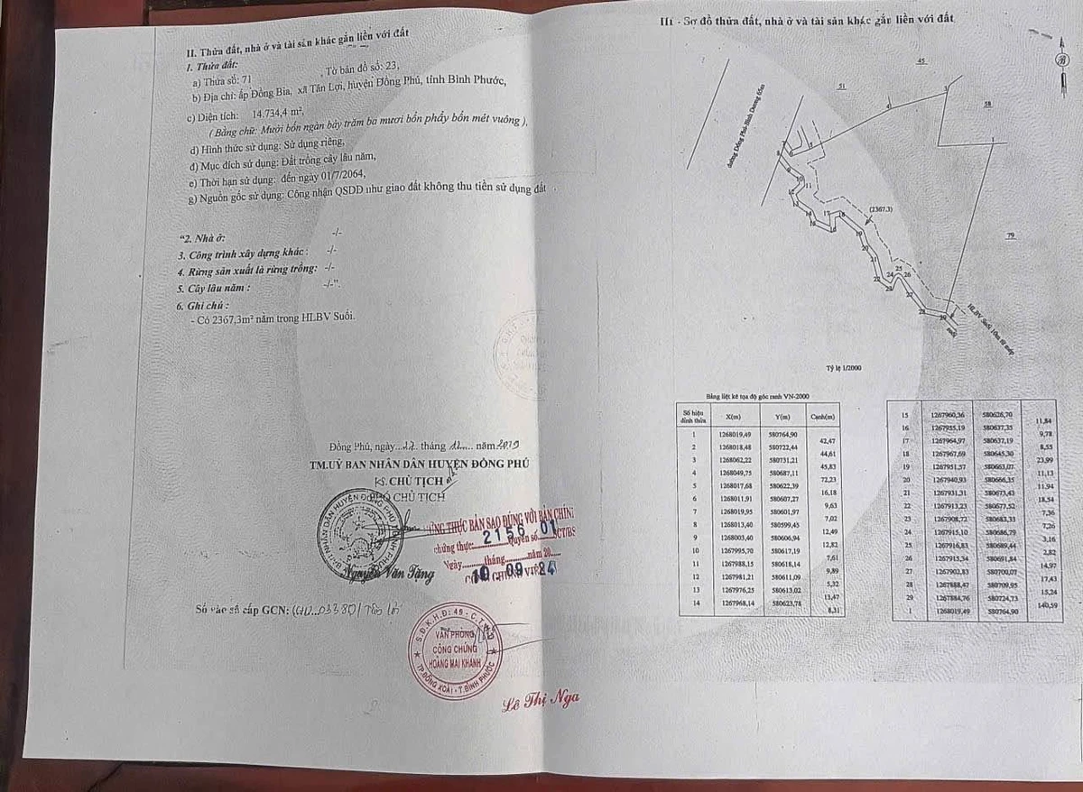Bán đất mặt tiền Tạo Lực 1,5ha Tân Lợi Đồng Phú - Ảnh thu nhỏ 3