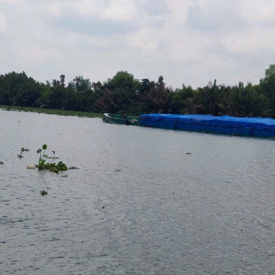 Bán đất ven sông 2800m² Xã Mỷ Phú, Thủ Thừa, Long An, 2 tỷ - Ảnh thu nhỏ 4