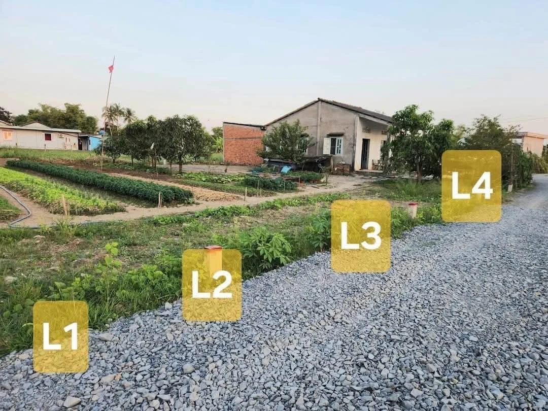 Bán đất thổ cư 5x25m, 750 triệu/lô, gần chợ Phước Vân, xã Rạch Kiến, Tây Ninh - Ảnh thu nhỏ 4