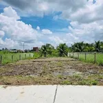 Bán đất 299m2 (182m2 lúa + 117m2 thổ cư) Phú Ngãi Trị, Long An - Ảnh thu nhỏ 2