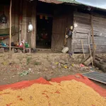 Bán 2 ha đất mía có nhà, ao, giếng khoan giá 270 triệu tại xã Cư M'lan, Ea Súp, Đắk Lắk - Ảnh thu nhỏ 1