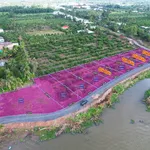 Bán 5 lô đất vườn 500m² view sông Vàm Cỏ Đông, Tây Ninh - Ảnh thu nhỏ 1
