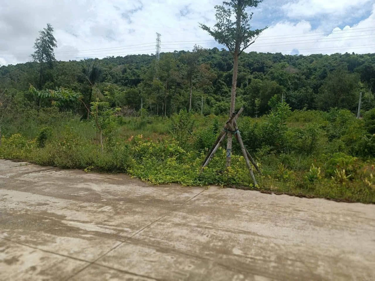 Bán đất view núi 500m² Suối Đá Phú Quốc 2 tỷ - Ảnh thu nhỏ 3