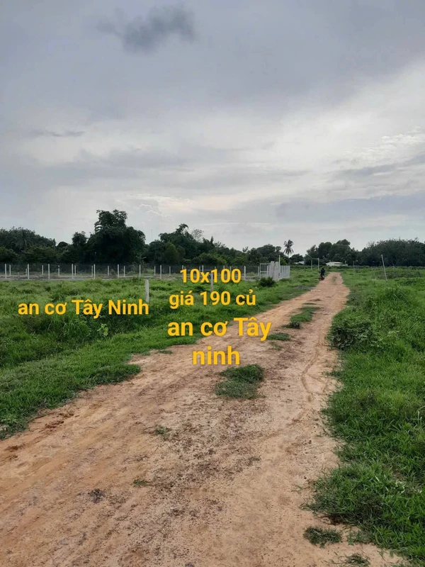 Bán lô đất 1000m² tại An Cơ, Châu Thành, Tây Ninh, giá 190 triệu