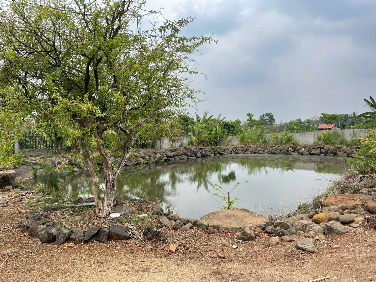 Bán đất vườn 6,4 sào view ruộng Hoà Khánh Bà Rịa 3,99 tỷ - Ảnh thu nhỏ 5
