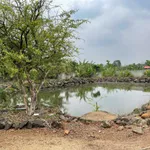 Bán đất vườn 6,4 sào view ruộng Hoà Khánh Bà Rịa 3,99 tỷ - Ảnh thu nhỏ 5