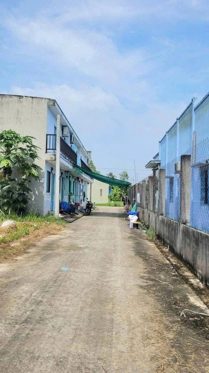 Bán nền thổ cư 100m² Cần Dước Long An 950 triệu - Ảnh thu nhỏ 2
