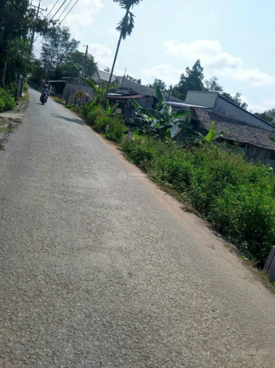 Đất 442,6 m2 ven sông và lộ nhựa cách cầu Cần Thơ tầm 3km giá 1 tỷ 800 - Ảnh thu nhỏ 3