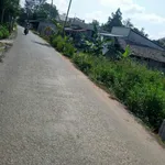 Đất 442,6 m2 ven sông và lộ nhựa cách cầu Cần Thơ tầm 3km giá 1 tỷ 800 - Ảnh thu nhỏ 3
