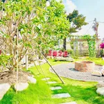 Bán lô đất góc 2 mặt tiền 750m2 Hàm Liêm Khánh Hòa - Ảnh thu nhỏ 4