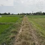Bán 5247m2 đất lúa mặt tiền 61,8m gần Vinhomes Hậu Nghĩa, Đức Hòa - Ảnh thu nhỏ 3