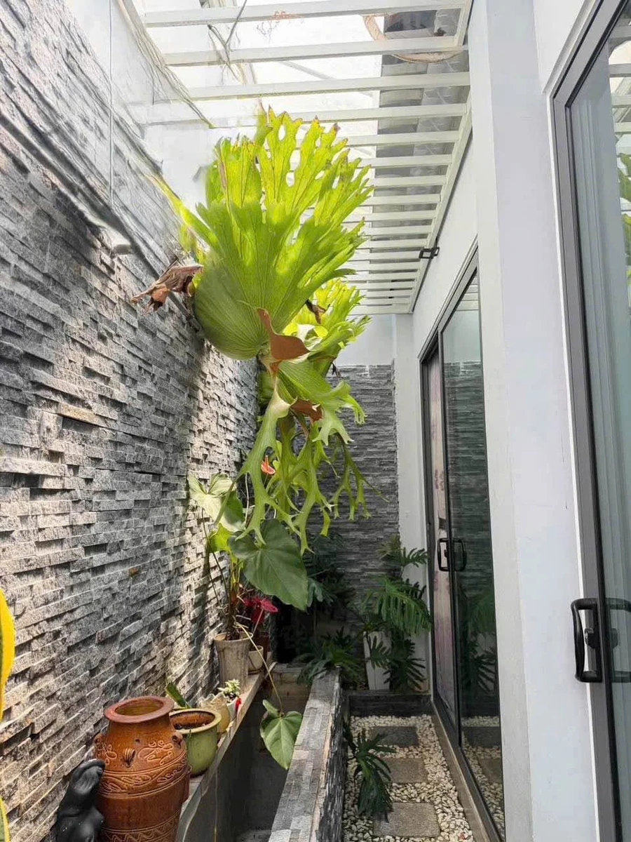 Bán nhà mặt tiền Tô Hiến Thành 213m² - 13 tỷ, Quận 12 - Ảnh thu nhỏ 4