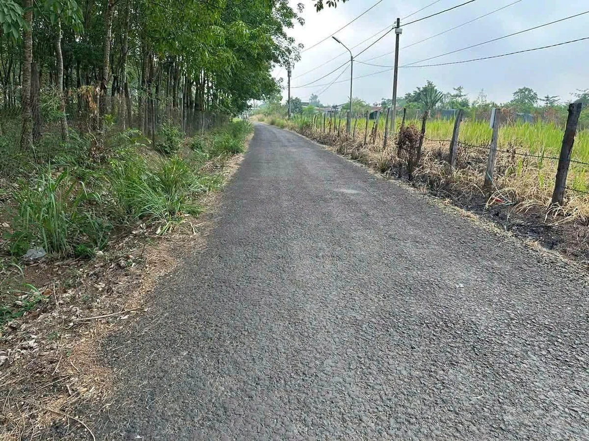 Bán đất 100 m2 mặt tiền Tân Hiệp, Bình Phước 225 triệu - Ảnh thu nhỏ 2
