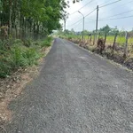 Bán đất 100 m2 mặt tiền Tân Hiệp, Bình Phước 225 triệu - Ảnh thu nhỏ 2