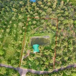 Bán 2000m² đất vườn sầu riêng Bảo Lộc, 1,3 tỷ - Ảnh thu nhỏ 3