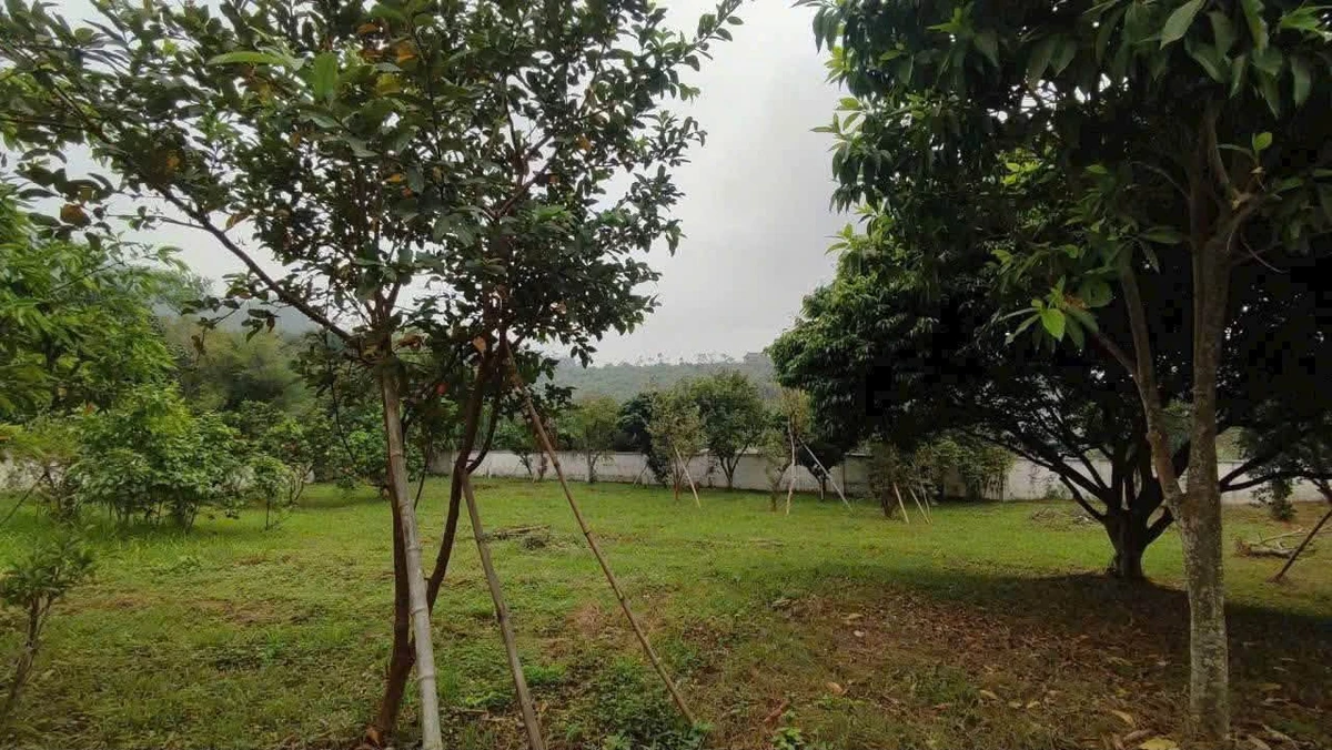 Bán villa vườn 1.846m² Yên Bài Ba Vì Hà Nội - Ảnh thu nhỏ 2