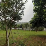 Bán villa vườn 1.846m² Yên Bài Ba Vì Hà Nội - Ảnh thu nhỏ 2