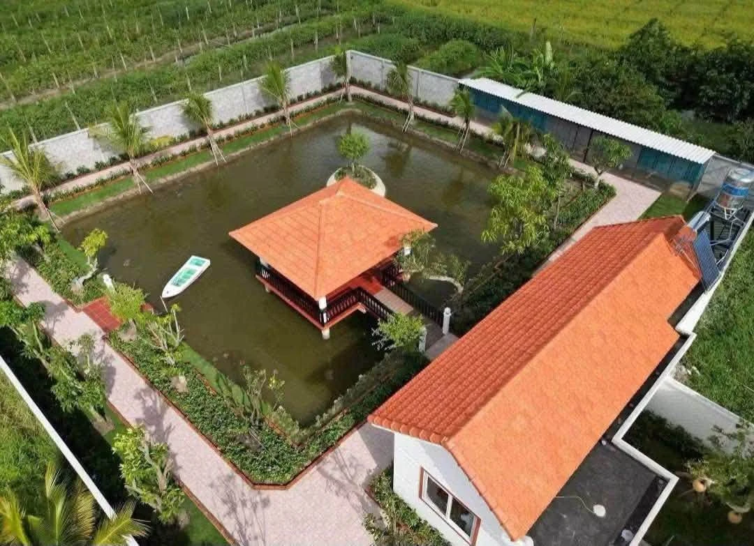 Bán nhà vườn 1230m2 giá 4,95 tỷ tại Hòa Phú, Châu Thành, Long An - Ảnh thu nhỏ 2
