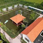 Bán nhà vườn 1230m2 giá 4,95 tỷ tại Hòa Phú, Châu Thành, Long An - Ảnh thu nhỏ 2