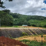 Bán hơn 3000m2 đất đầu làng Kon Pring bám QL24, giá 1,5 tỷ/1000m2 - Ảnh thu nhỏ 2