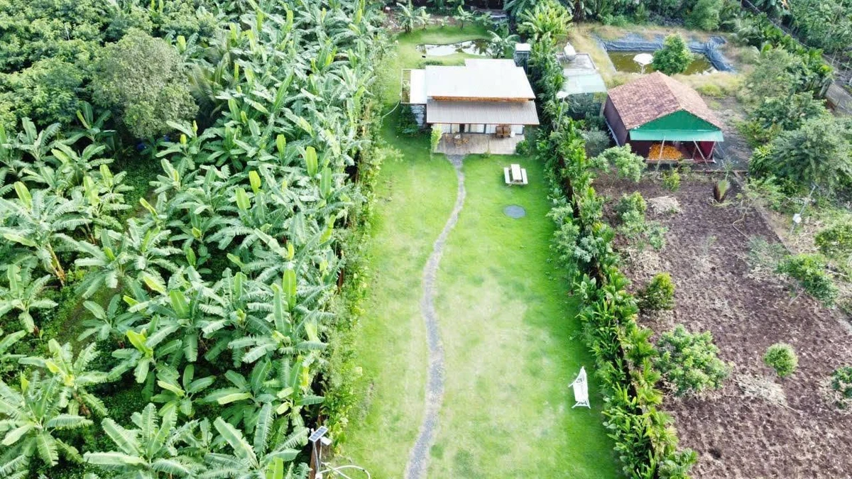 Bán nhà vườn 975m² Phường Eakao, 2 tỷ - Ảnh 1