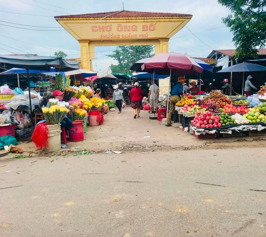 Bán lô đất hẻm Nguyễn Thông 190m2, giá 1 tỷ 5 - Ảnh thu nhỏ 4