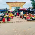 Bán lô đất hẻm Nguyễn Thông 190m2, giá 1 tỷ 5 - Ảnh thu nhỏ 4