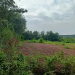 Bán đất 1000m² Bù Đốp, Bình Phước 220 triệu - Ảnh thu nhỏ 2