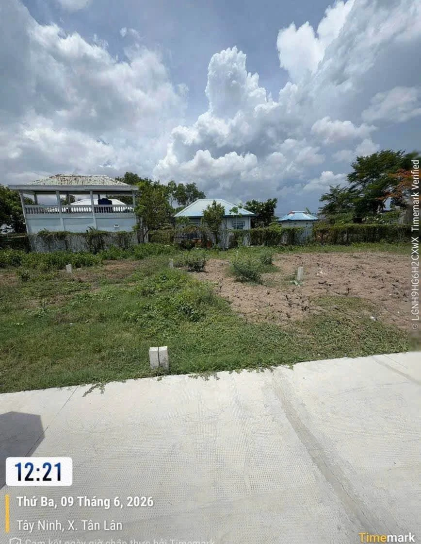 Bán đất nền 100m2 tại Phước Đông, Cần Dước 320 triệu - Ảnh thu nhỏ 4