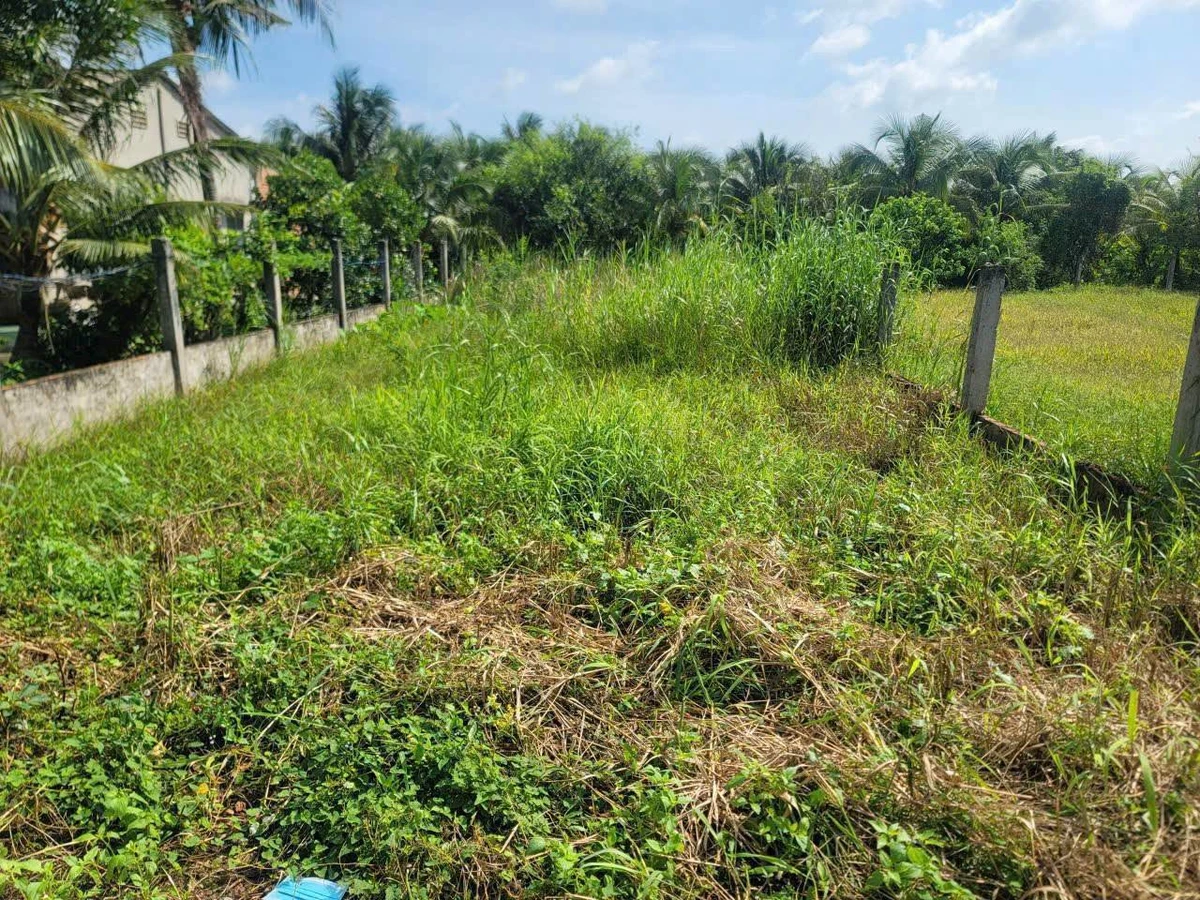 Bán đất 1356m² Mỹ Tho Đồng Tháp 2.6 tỷ - Ảnh thu nhỏ 5