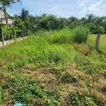 Bán đất 1356m² Mỹ Tho Đồng Tháp 2.6 tỷ - Ảnh thu nhỏ 5